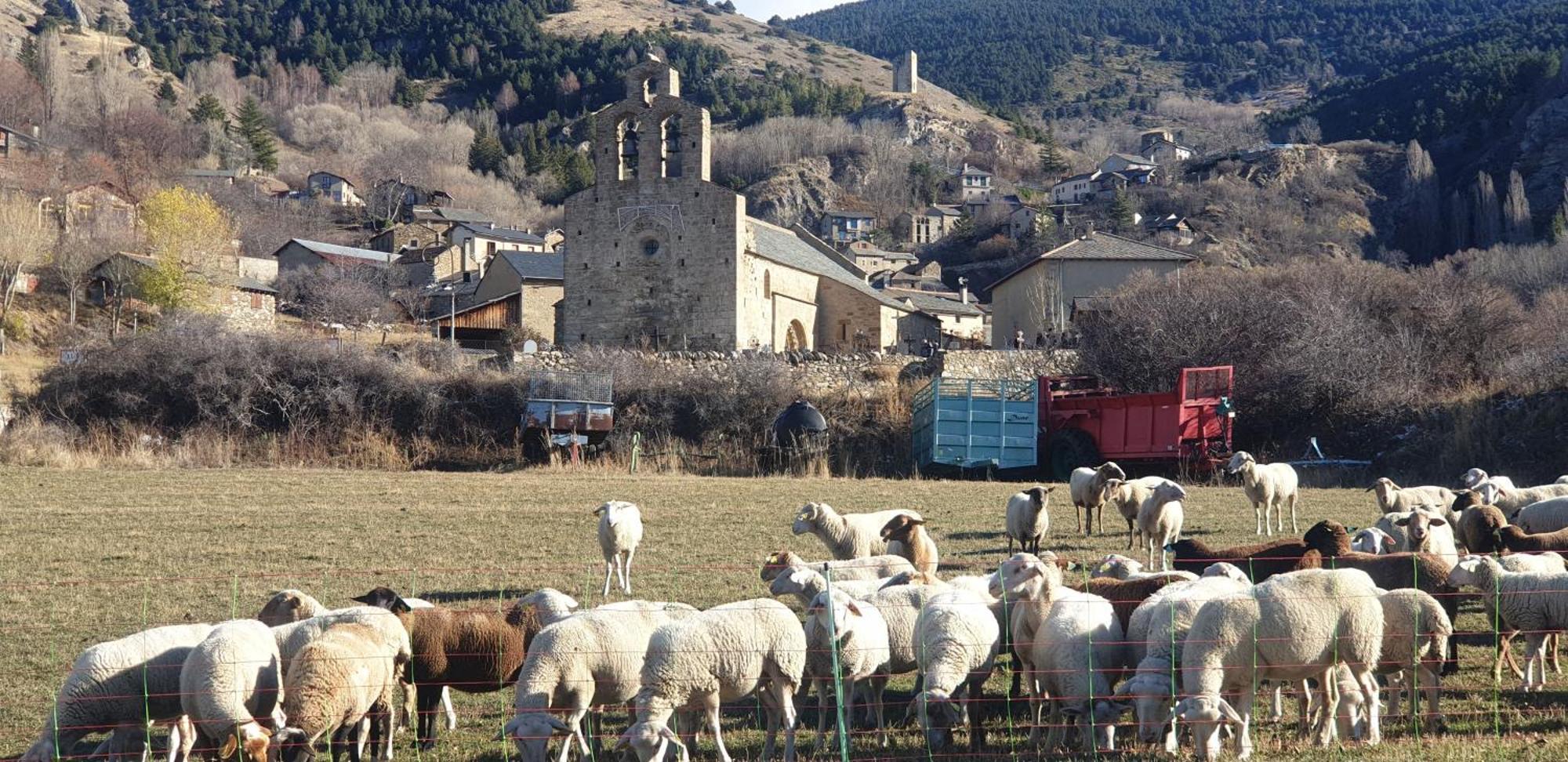 La Masia Del Taulat D'hotes Bed and breakfast *